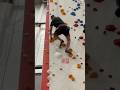 Giving myself time to recover is a fantastic goal I struggle with #climbing