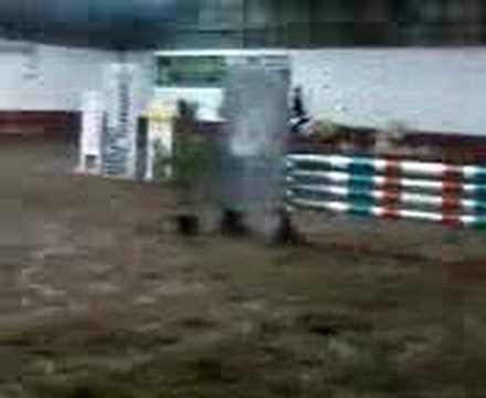 fauve en up to date clipton 20-01-08