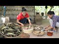 Countryside life tv mekong river fish is coming we prepare 3 recipes with fishes