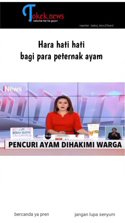 story wa maling ayam tetangga