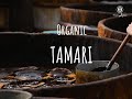 How our traditional tamari is produced muso