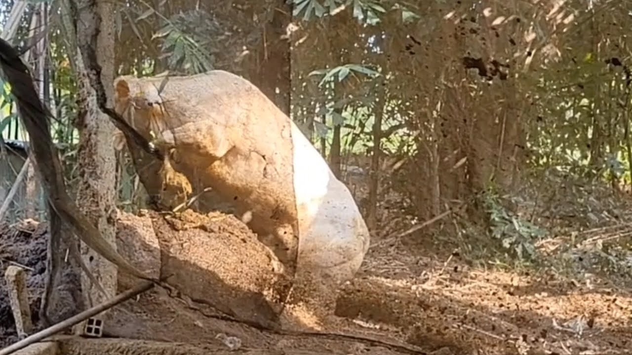 Sập mái che bé bò bỏ chạy Sản...ĐT:0898087793.