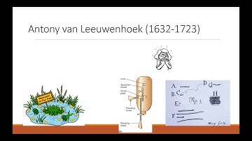 The Microbial World Part 1