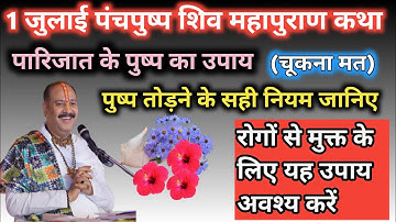 1 जुलाई पंचपुष्प शिव महापुराण कथा | पारिजात के पुष्प का उपाय||पुष्प कैसे तोड़ना चाहिए रोगमुक्तिउपाय
