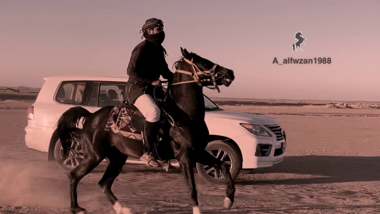 الخيل الادهم
