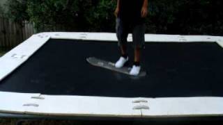 mark's tramp bail
