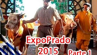 El campo en la ciudad - ExpoPrado 2015 / Montevideo - Parte 1