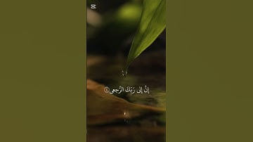 تلاوة خاشعة للشيخ محمد صديق المنشاوي #قرآن #قران_كريم #محمد_صديق_المنشاوي #تلاوة_خاشعة