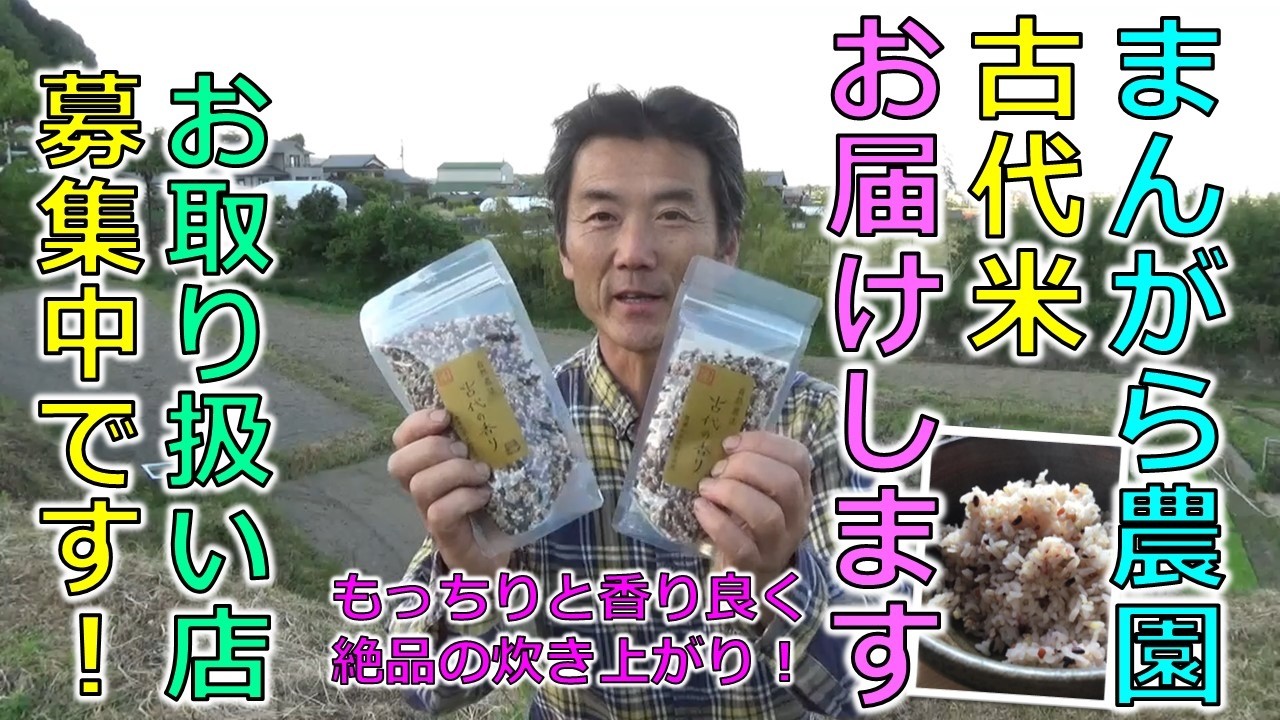 自然農法の古代米「古代の香り」いかがですか?お取扱い店も大募集中です♪もっちりと香り良く絶品の炊き上がり!