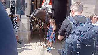 Cant Stop, Wont Stop Tourists Obsession With Horse Touching