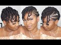 No EXTENSIONS PROTECTIVE SUMMER STYLE On Short 4C Natural Hair | Flat Twist and Mini Twists Tutorial