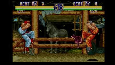 Art Of Fighting 2 AES version VS MVS with Neo MVS Adapter For Neo Geo AES New
