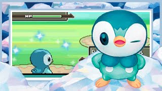 RANDOM!? LIVE!! Shiny Piplup after ONE RESET (DTQ #1)