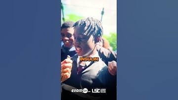 GCSE Biology Testing Camden’s Year 11’s a day before Paper 2 🧬