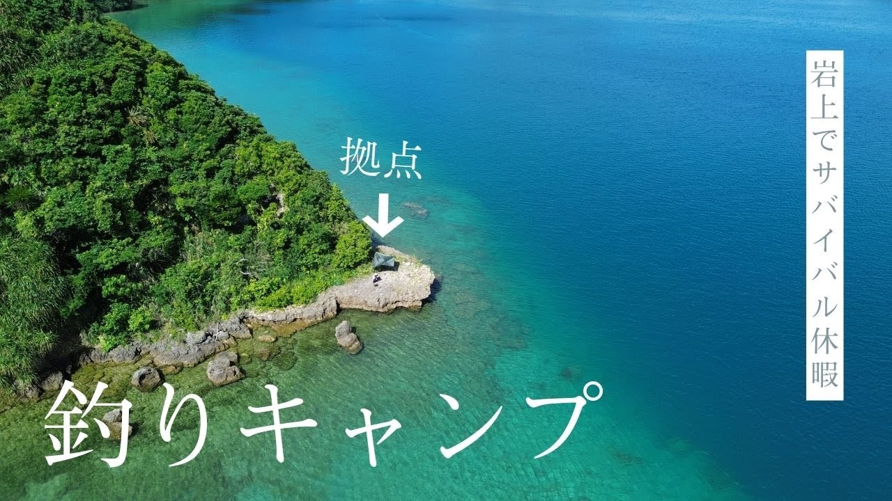 島でサバイバルする社畜