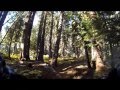 Echo Summit to Strawberry Lodge MTB