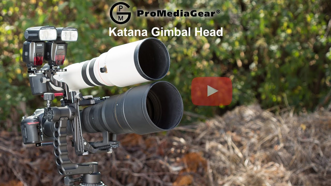 Best Gimbal Head For Action And Wildlife Telephoto Photography For Tripod Youtube