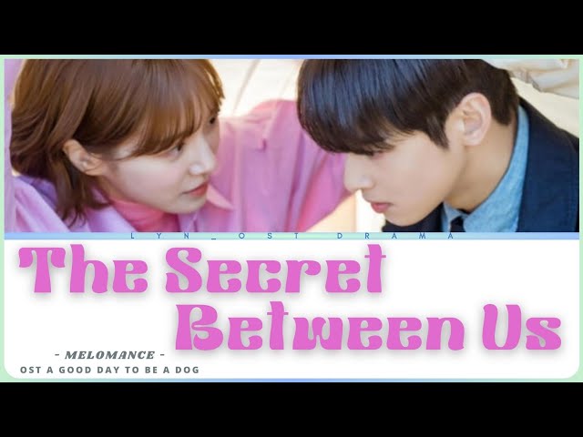 Melomance ~ The Secret Between Us ~ A Good Day to Be a Dog OST Lyrics Video [ROMANIZATION EASY] class=
