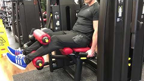 Seated Leg Curl - 1 1/4 Reps