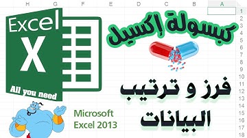 arrange and  filter Data in Excel ترتيب وفرز البيانات إكسيل 2013