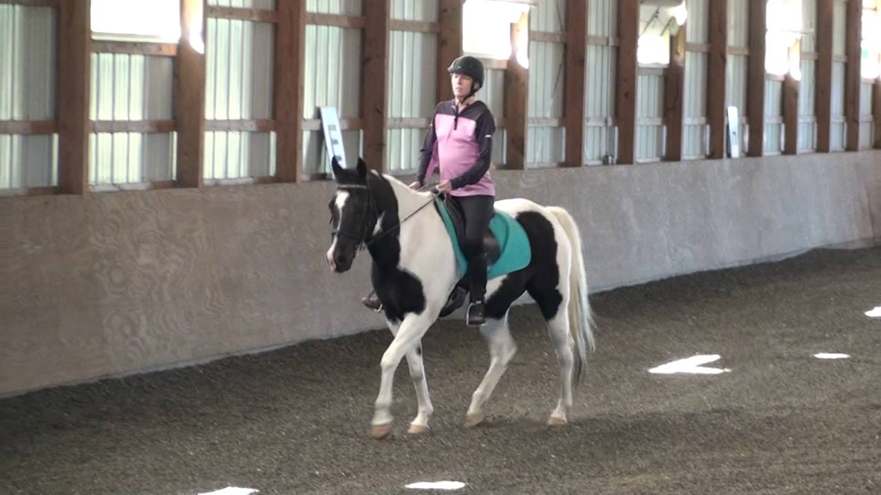 Heather Oman PATH Intl Riding Certification Video 10-10-16 - YouTube