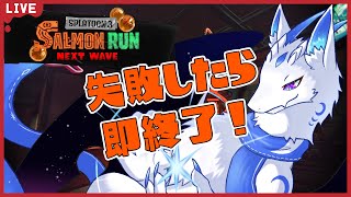 【サーモンランNW】ノーミスでカンストまで行きたいです！