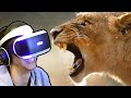 LION ENCOUNTER!!! - Virry VR - Playstation VR | Ep1