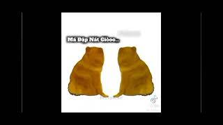Những Bản Nhạc Phonk Nước Ngoài Bị Các Thánh Nhạc Việt Chế =))) (Phần 1)
