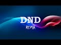 Rema DND Lyrics Video