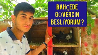 Küçük Emekçi Eyüp Ben Güverci̇n Merakli̇si̇yi̇m Bahçede Uçuruyorum 