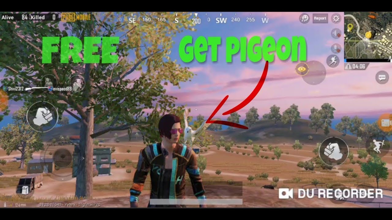 ðŸ”¥ Get Free pigeon in PUBG new update ðŸ”¥ðŸ”¥ - YouTube - 