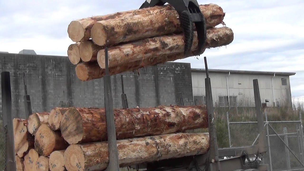 Cat M325c High Stacker YouTube