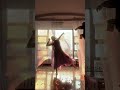 Dad's Special Effects Surprise in My Dance Video 😄 ClassicalDance Youth
