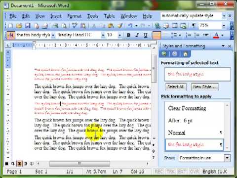AM 3.1.3.2 Paragraph styles Microsoft Word 2003
