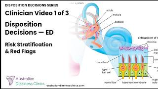 1/3 video- Risk Stratification and Red Flags — ED Dizziness