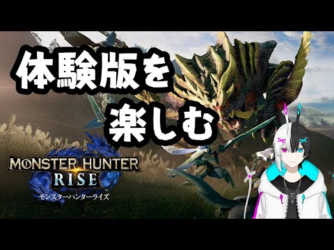 【モンハンRISE】体験版を楽しむ