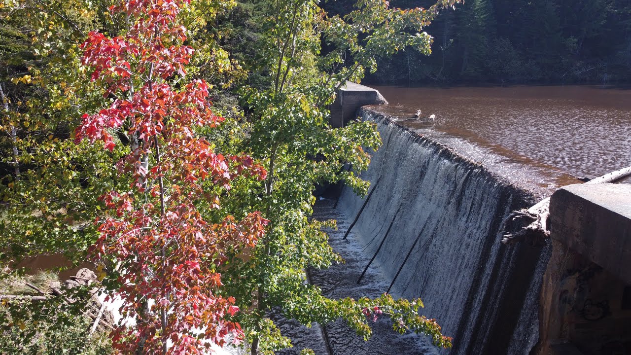Fall in Mill Creek Nature Park Riverview NB 4K YouTube
