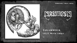 PARAMNESIA - SPlit with UNRU - III