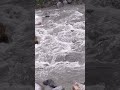 #water #himachal #mountains #rock #nature #lifeisbutadream #love