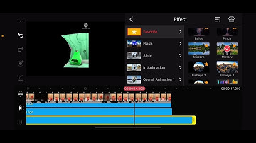 How To Make Blind And Deaf On KineMaster