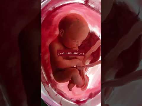 لماذا نحب تخصص الطب البشري