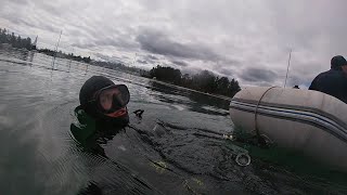 DIVING a MOORING BUOY - Chain Install