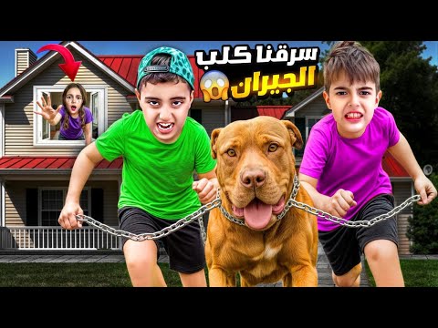 خلودة ومالك سرقوا كلب الجيران الشرس وهربوا معو كان رح يعضون