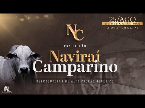 LOTE 174