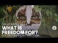 What Is Freedom For? | Galatians 5:13–14 | Our Daily Bread Video Devotional