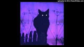 XXXTENTACION - BLACK CAT (VERSE) (CONCEPT)