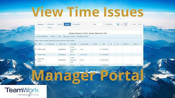 TeamWork 5 Manager Tutorial: How to View Time Issues