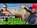 Ловля КРУПНОЙ ПЛОТВЫ 2023//Плотва с каждого заброса//Ловим на Ладоге//#teamправильнаяподсечка