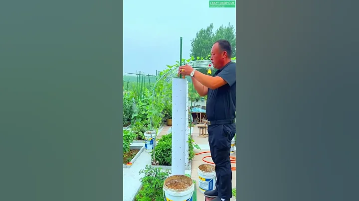 No Space Try Vertical Gardening!