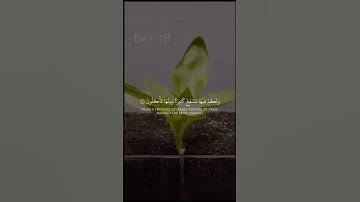 #آيات #ايات_قرانيه_قصيره #ياسر_الدوسري #سورة #قرآن #قران_كريم